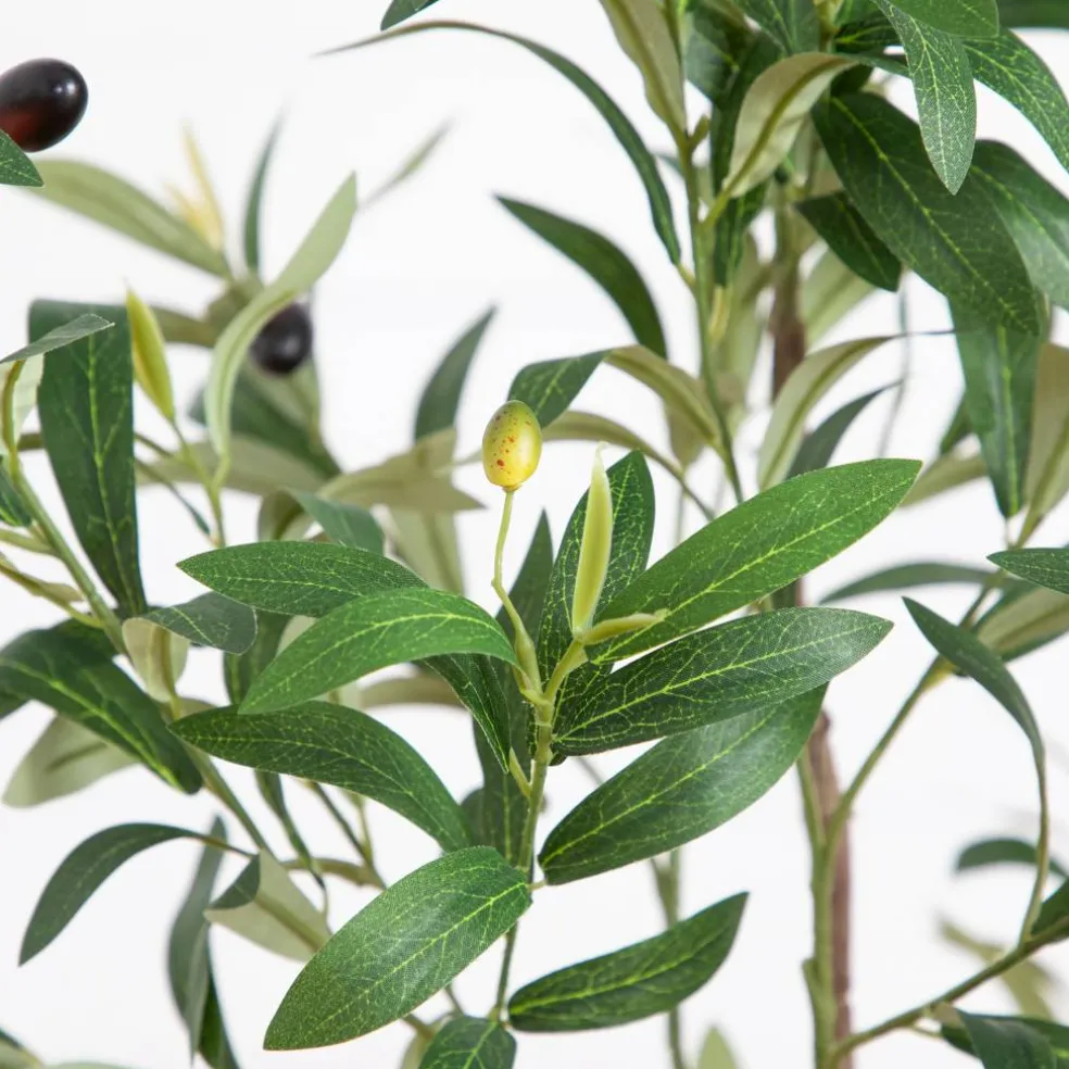 5ft. Artificial Minimalist Olive Tree in White Decorative Planter