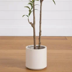 5ft. Artificial Minimalist Olive Tree in White Decorative Planter