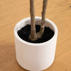 5ft. Artificial Minimalist Olive Tree in White Decorative Planter