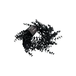 5ft. Black Eucalyptus Leaf Coiled Garland by Ashland®