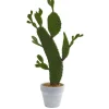 2ft. Cactus Plant in White Planter