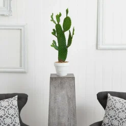 2ft. Cactus Plant in White Planter