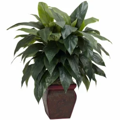 2.9ft. Cordyline Plant in Decorative Planter