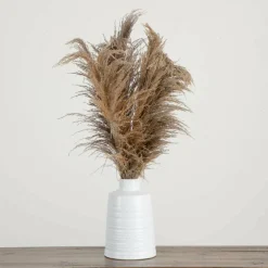 2.5ft. Dried Natural Pampas Arrangement in Ceramic Vase