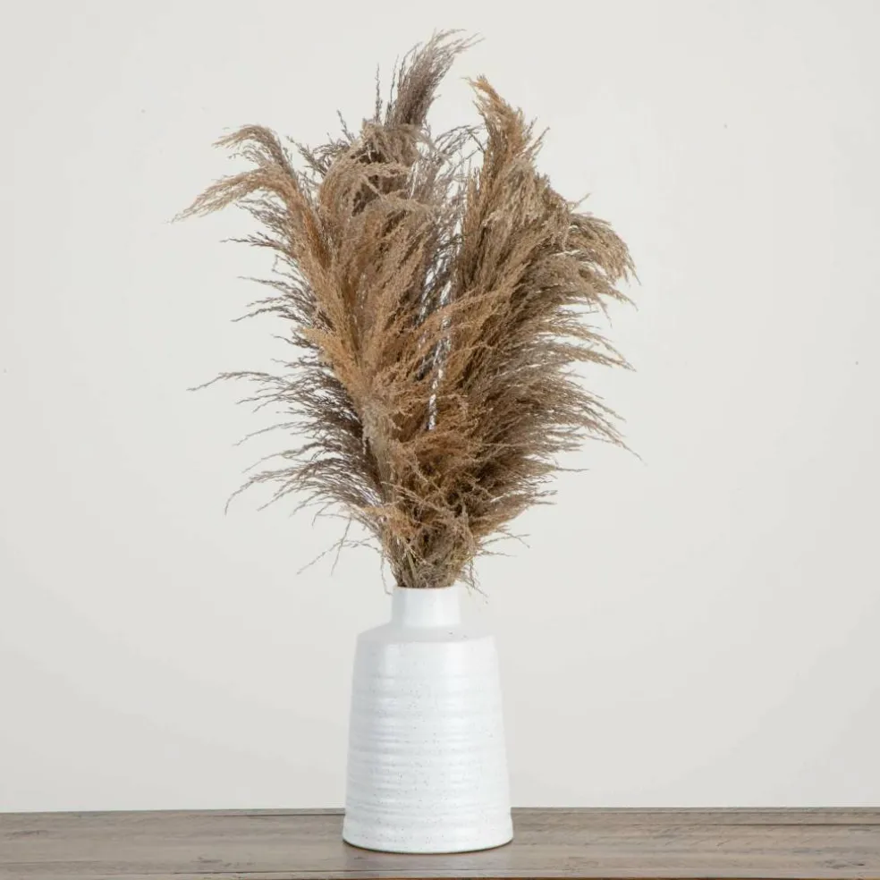 2.5ft. Dried Natural Pampas Arrangement in Ceramic Vase