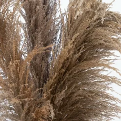2.5ft. Dried Natural Pampas Arrangement in Ceramic Vase