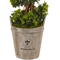 4ft. English Ivy Tree in Farmhouse Planter