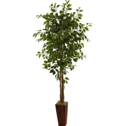 6ft. Ficus Tree in Bamboo Planter