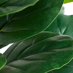 6ft. Fiddle Leaf Tree in Decorative White Planter