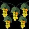 6ft. Green Grape Cluster String Lights