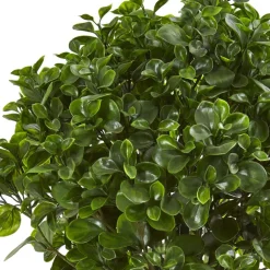 2.5ft. Peperomia Plant in Sand Stone Planter