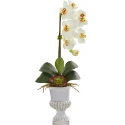 2ft. Phalaenopsis Orchid & Succulent Arrangement in Urn