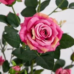 4ft. Pink Rose Tree in Black Pot