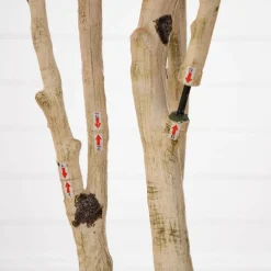 9ft. Potted Artificial Autumn Birch Tree