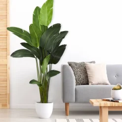7ft. Potted Artificial Travelers Palm Tree