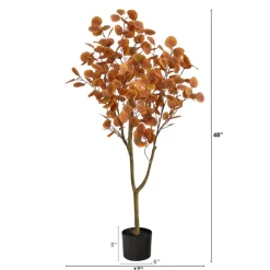 4ft. Potted Autumn Eucalyptus Tree