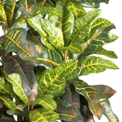 3ft. Potted Croton Tree