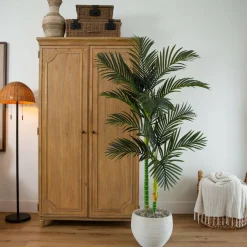 6ft. Potted Double-Stalk Golden Cane Palm Tree