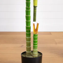 6ft. Potted Double-Stalk Golden Cane Palm Tree
