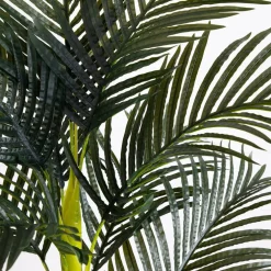6ft. Potted Double-Stalk Golden Cane Palm Tree