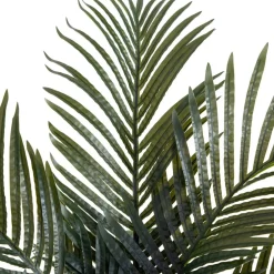 6ft. Potted Double-Stalk Golden Cane Palm Tree
