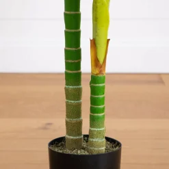 6ft. Potted Double-Stalk Golden Cane Palm Tree
