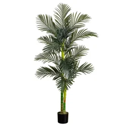 6ft. Potted Double-Stalk Golden Cane Palm Tree