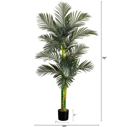 6ft. Potted Double-Stalk Golden Cane Palm Tree
