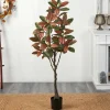 5ft. Potted Fall Magnolia Tree