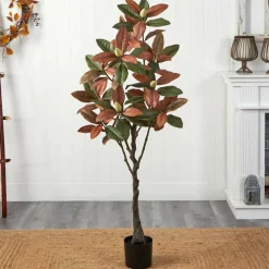 5ft. Potted Fall Magnolia Tree