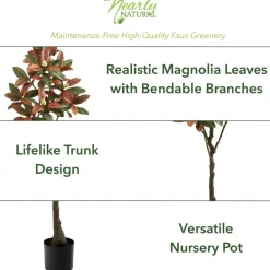 5ft. Potted Fall Magnolia Tree
