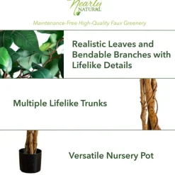 5ft. Potted Ficus Tree
