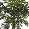 4ft. Potted Golden Cane Palm Tree