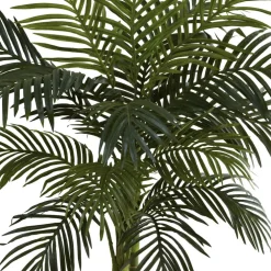 4ft. Potted Golden Cane Palm Tree