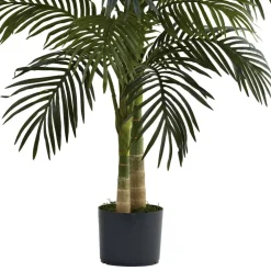 4ft. Potted Golden Cane Palm Tree