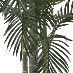 6.5ft. Potted Golden Cane Palm Tree