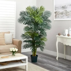6.5ft. Potted Golden Cane Palm Tree