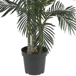 6.5ft. Potted Golden Cane Palm Tree