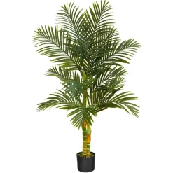 5ft. Potted Golden Cane Palm Tree