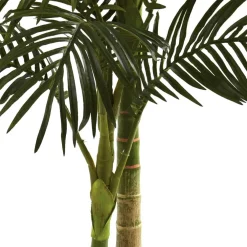 5ft. Potted Golden Cane Palm Tree