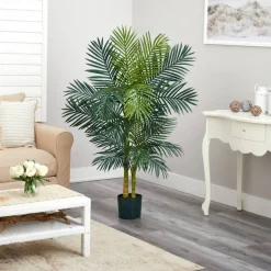 5ft. Potted Golden Cane Palm Tree