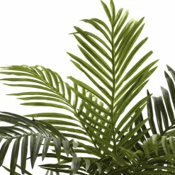 5ft. Potted Golden Cane Palm Tree