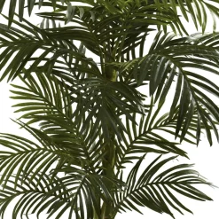 5ft. Potted Golden Cane Palm Tree