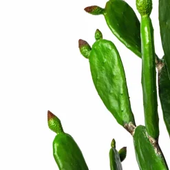 7ft. Potted Green Cactus