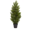 3ft. Potted Mini Cedar Pine Tree