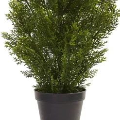 3ft. Potted Mini Cedar Pine Tree