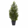 2ft. Potted Mini Cedar Pine Tree