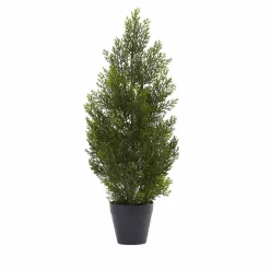 2ft. Potted Mini Cedar Pine Tree