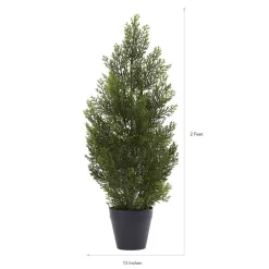 2ft. Potted Mini Cedar Pine Tree