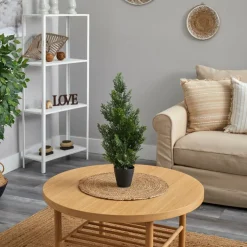 2ft. Potted Mini Cedar Pine Tree